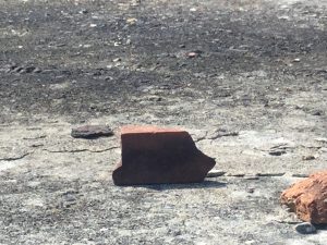 202FA05E-36F1-47BF-977D-9863D183D5A2