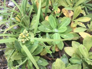 337DF484-F27B-4245-AE67-F65E367E902E