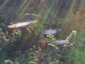 46333776-E821-486C-A91D-75F8F9339CC4