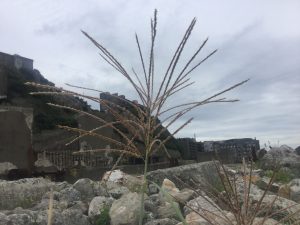 7115DD02-E1D4-48D9-BA14-F8DBB099FCD6