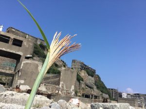 97DA56AC-E9C9-4C28-81AB-AB1E9CA54316