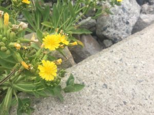 9CE99F88-593C-4F9E-BCC5-3FBA08B2853E