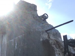 B163AAA3-08C1-4F0A-8BC5-AAC6923D5739