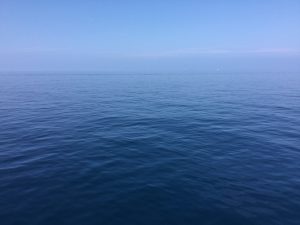 B93C7B05-0847-4B9F-BB62-77E81D3C59F8