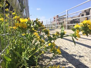 BC9B4145-6EFB-457D-80CF-DA4BC690C9D7