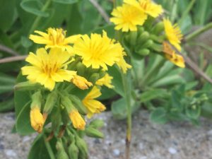 D1ADC661-A624-416F-9027-A73C966F8A58