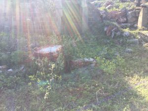 DFE9A37A-466D-4B59-9AF9-F28E7EC5931C