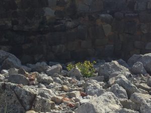 07465D5A-B65D-4468-9B17-20C48012DD3D