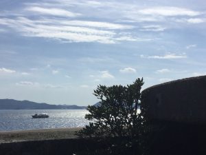 11B61EBA-0E63-44F8-A746-BDAFD4513DFB