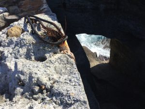 1B4DFDEA-EFE7-4F0B-A562-6EA71830DB9C