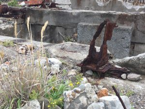 2409A627-23FB-4B9C-A123-2187513C4AB9