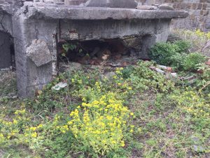 314BCF0C-3AEF-4425-BBA3-6A7E6701EBE9