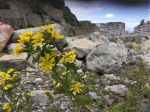 34E88F29-F600-4545-B74B-4072E42EDB12