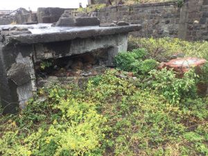 3618422C-0AD0-4BA3-A9F7-D1183A5388D4