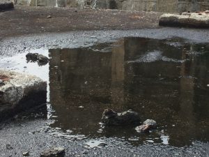 3B5168FF-BFC2-4274-8ABD-48A301208B09