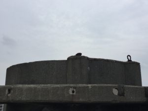 4225E0D2-B4AB-4FD3-8816-BB9C9232BE24