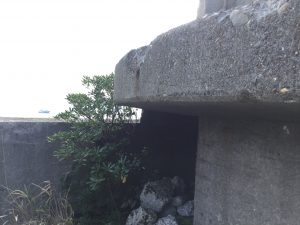 5413D9F3-10BA-4E66-B59D-0153DA0E8B8C