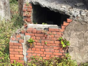 559DCF80-C9BF-490F-B6C6-B6377C769547