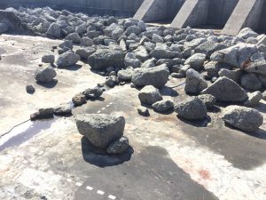 64D88847-8BF0-48BD-B5CF-C2A7300BDB43