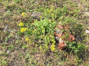 75A34CCE-E691-47EB-AEC7-9C013F8A703E