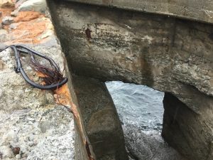 8D0914BF-21EF-4DE8-BF4F-687432C35220