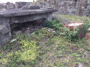 97DC0041-A0AA-4DCB-8C05-23101244306B