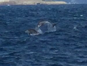 9D8BA791-42A5-4DE0-B802-B949B363721B