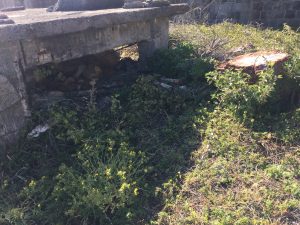 B3B59213-4367-4A1D-829F-3BC52885E818