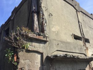 CA7555D2-D2C5-4032-850F-E25E3EED9232