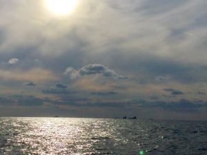 CE0711E2-377B-40D5-8F9B-DD870E9F2D1A