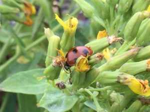 CFC7098B-8270-4C47-AFFE-3D401E4AB7B9