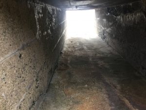 DCDCA4F4-5875-41AB-A940-1C36C59066FB