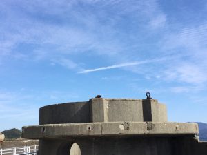 DE297EC7-7A1E-49D8-A5C2-7CE94924B05B