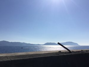 EDB71C5D-D24C-4D72-A40B-37E073783DAB