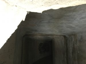 F3DB359C-A372-4A80-A5FB-B6F8F62AD6BA