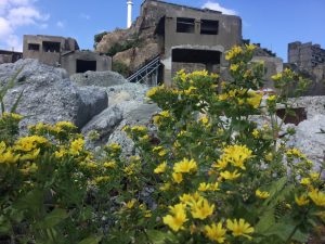 F85336A4-FF82-4B2D-A661-E9054A1B6B3E