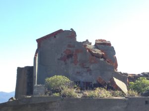 FAFB22F5-8205-4C17-80DC-C510DB36E67E