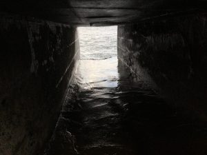 01F1A7D2-4F2F-4BA8-B7C4-9FE91FBBB201