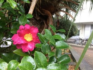 035A5574-D4C1-4F2F-B415-3B78B2EEF74F