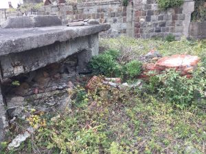 04D9DBF4-1CB5-446C-A2BF-60D675FAAEE8