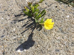 07324087-9467-4B8D-B136-0D494704637A