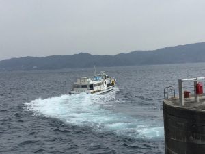 0D923350-50E3-4E52-B04B-9E834D35BCD7