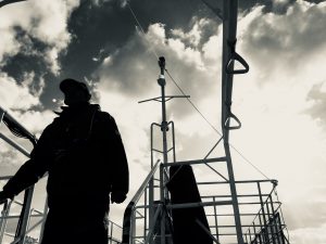 17D8B818-F61C-4FE8-8D8F-8314FE3F315D