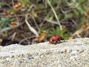 1858511B-67ED-4534-95A0-D9526F3A50C4