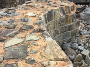 1ACD2E1A-1A11-4742-A95A-1DDD09AFD2FC