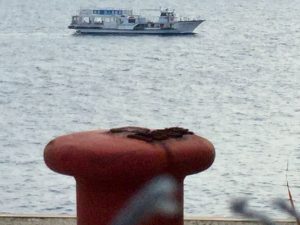 25E1A36C-1276-4A53-B10F-22544BF92838