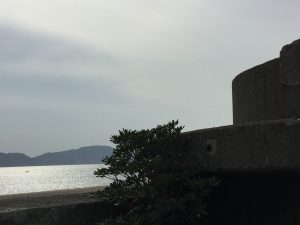 25F2980B-B332-4316-A3EF-454836D9E9A2