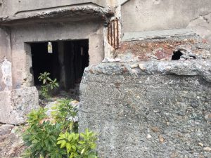 2FB50825-F986-4E6D-9D4F-9FCA3C4AEA81