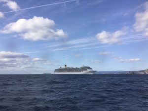 394AE57F-1FF4-4658-A39D-B4CAB687B7B8