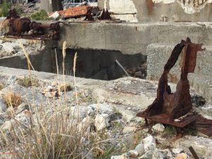 3E6E5546-635C-4121-9FA5-427E19B0B722